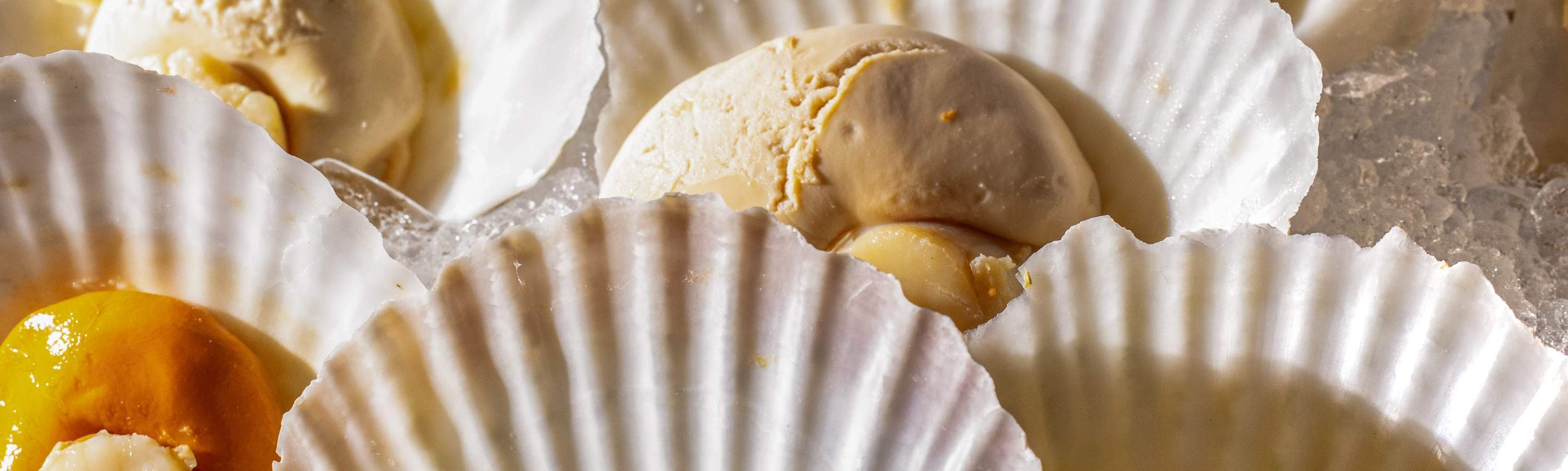 บุฟเฟ่ต์อาหารเย็น